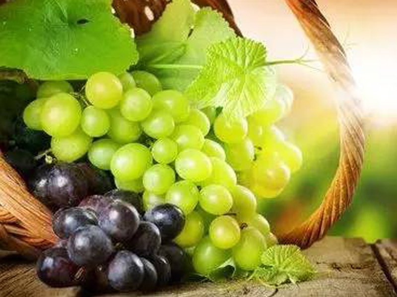 在夏天的时候，不妨多吃些葡萄，让我们的身体更加健康